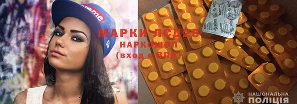 прущие грибы Абинск