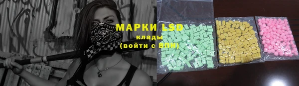 прущие грибы Абинск