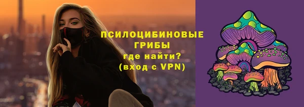 прущие грибы Абинск