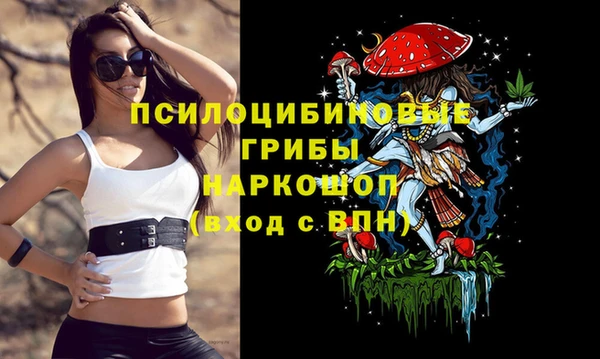 прущие грибы Абинск