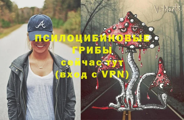 гидропоника Осташков